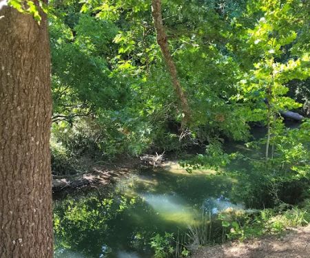 Central Campgrounds