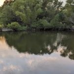 Arbuckle RV Resort