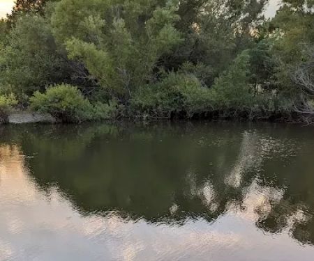 Arbuckle RV Resort