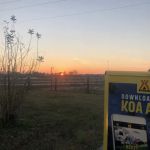 Lufkin KOA Journey