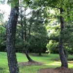 Hilltop Campgrounds