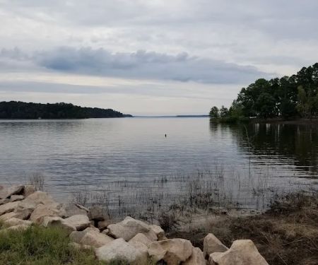 Alley Creek Camp