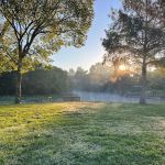 Harmon Creek Marina and Campground