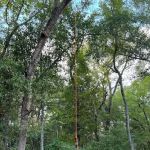 Woodsy Cove Cabins