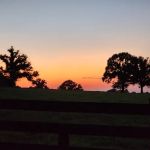 McCarter Farm