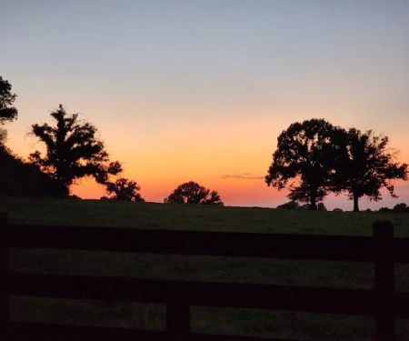 McCarter Farm