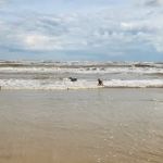 Bolivar Beach