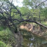 Camp Burnett