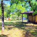 Bull Elk Campsite
