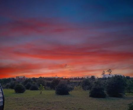 Camp Ombré