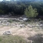 Roy's Rentals & Campground
