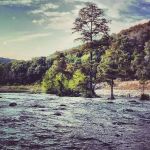 Gypsy River Resort