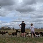 LaRock RV & Horse Camp