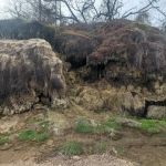 Campsite #013