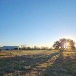 Atomic Ranch