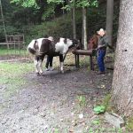 Round Bottom Campground