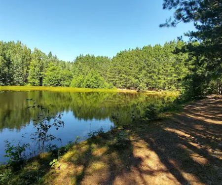 Carp River Campground