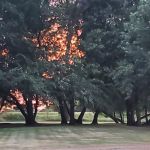 Outdoors Inn Campground