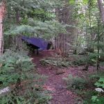 Woods Creek Camp