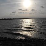 Allen's Point RV Park