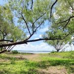 Timber Road Campground