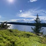 BWCA Campsite