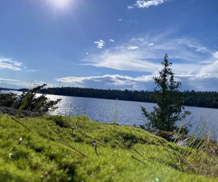 BWCA Campsite