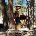 Camp J. C. Stimson