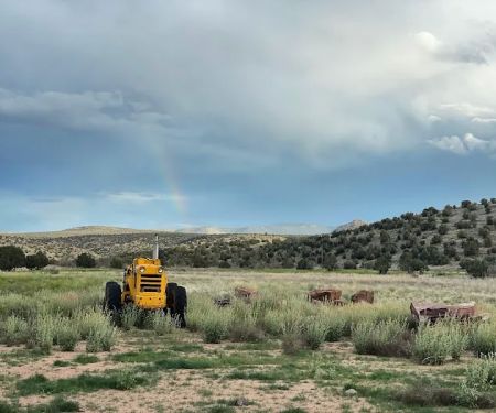 Cottonwood Cove Campground