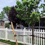 Goethals Community