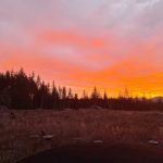 Wildwood River Camp