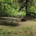 Collins Campground