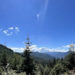Elk hollow