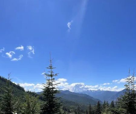 Elk hollow