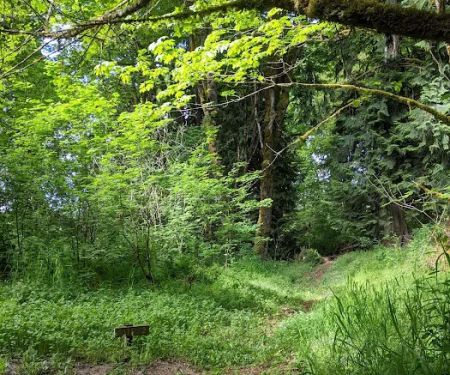Camp Nisqually