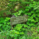 Elkhorn Campground