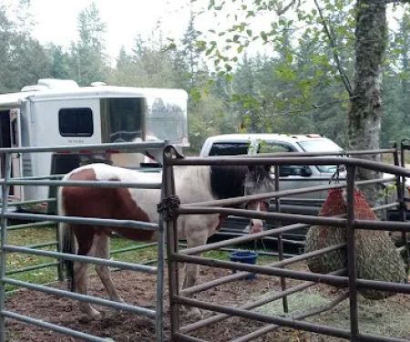 Sage Horse Camp