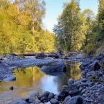 Dungeness Forks Campground