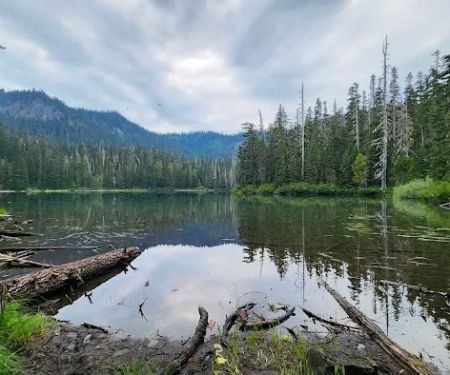 Lake Eleanor Camp