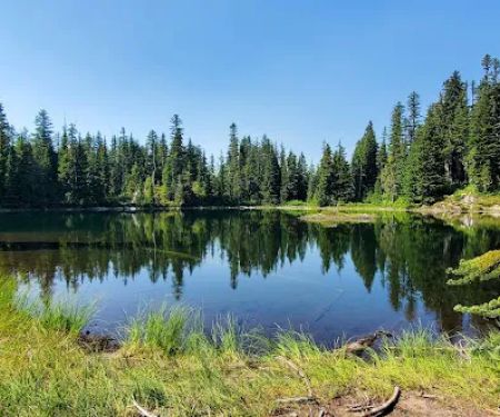 Golden Lakes Camp
