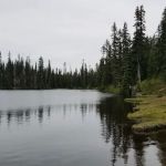 Cayuse Horse Camp