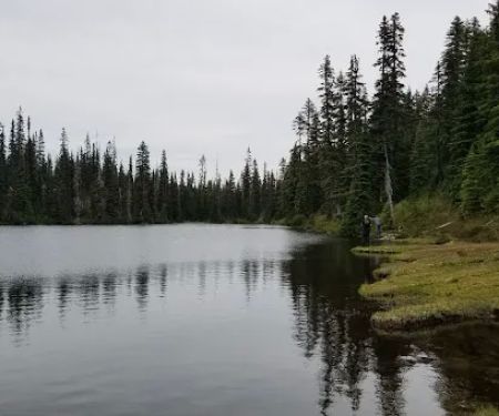 Cayuse Horse Camp