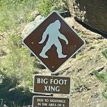Bigfoot Safe House