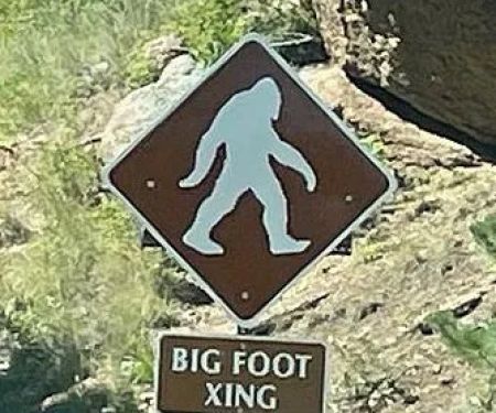 Bigfoot Safe House
