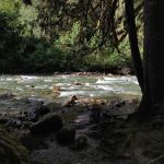 San Juan Campground