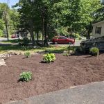 Bluestone Acres