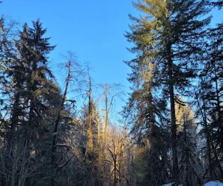 Brandywine Creek Campground