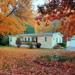 Colchester Commons