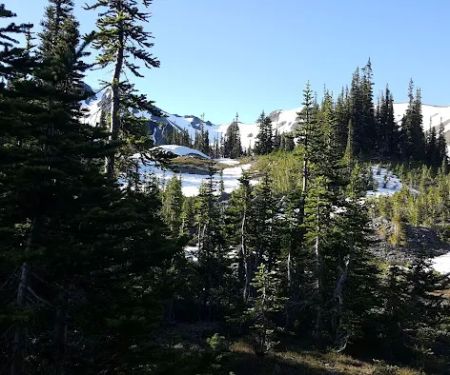 Upper Cameron