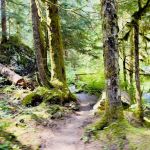 Enchanted Valley